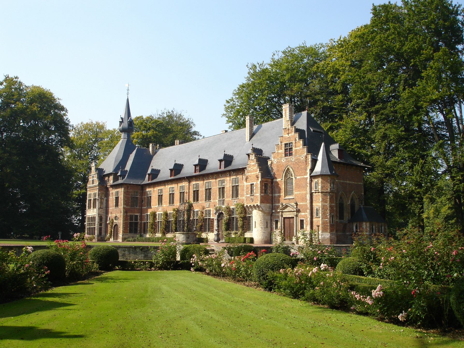 Main Image
