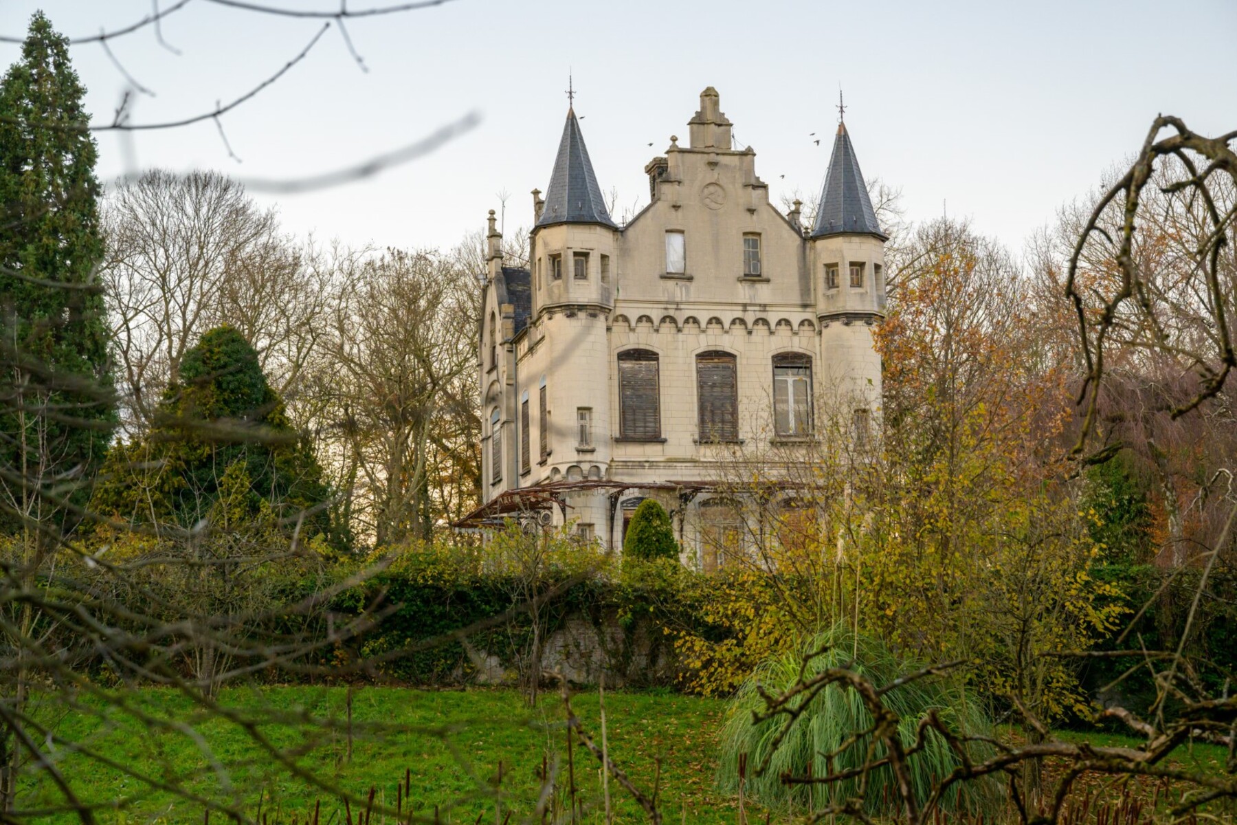 Main Image