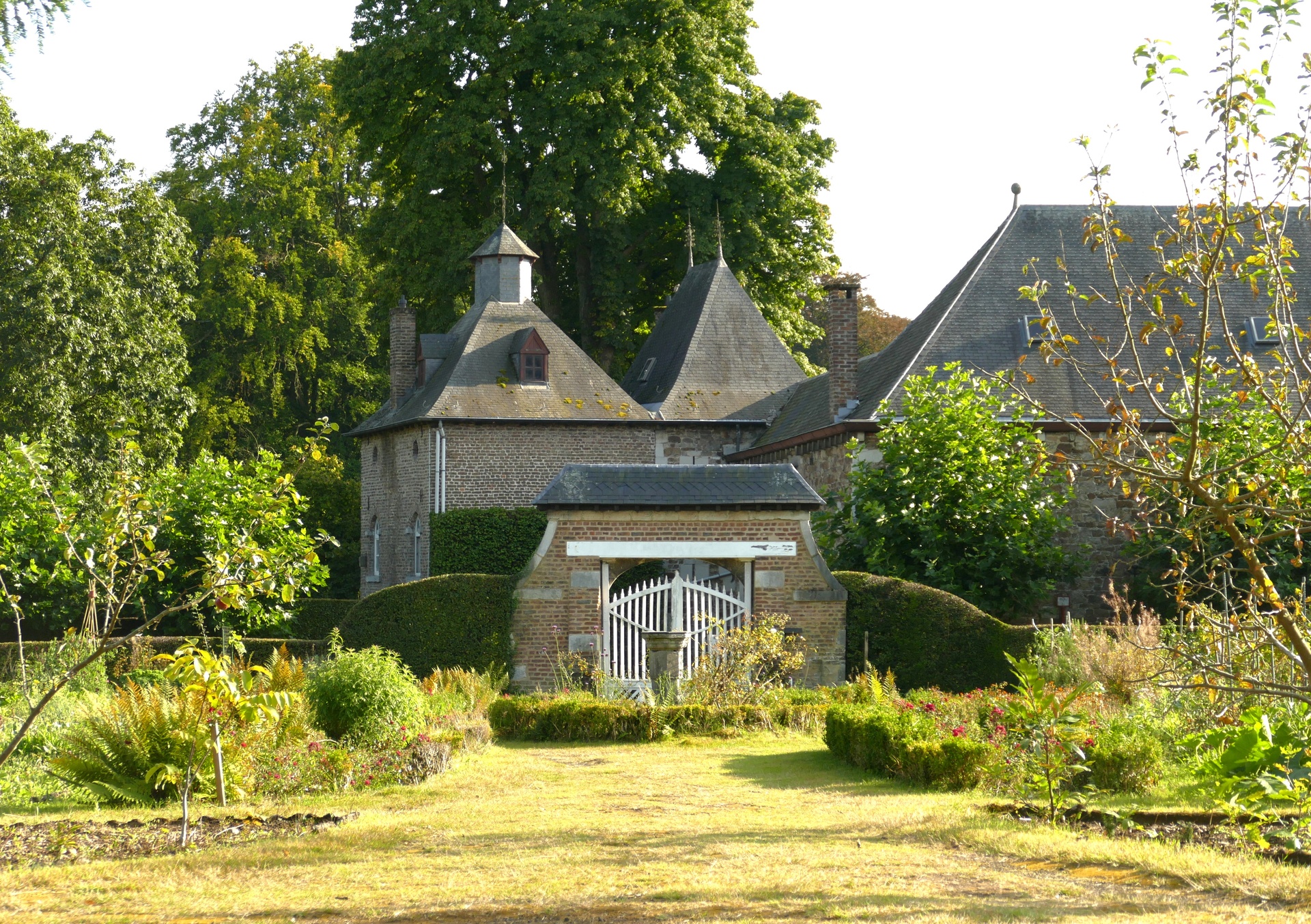 Main Image